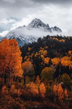 the mountains are covered in trees with yellow and orange leaves on them, as well as clouds