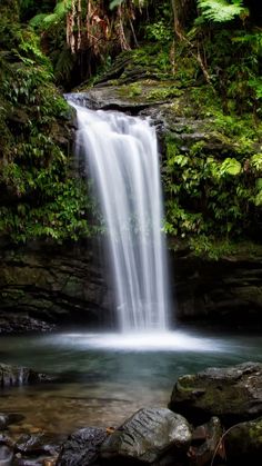 a small waterfall in the middle of a forest