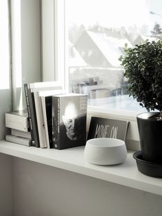 a window sill with books and a potted plant sitting on top of it