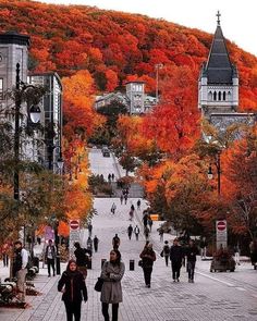 many people are walking down the street in front of trees with orange and red leaves