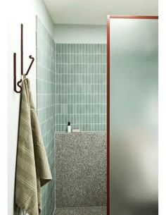 a bathroom with green tile and red trim on the shower door, towel rack and toilet paper dispenser