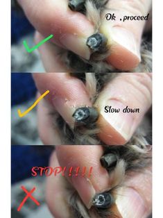 two pictures showing the different stages of hair growth in someone's hands, and one shows