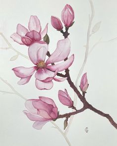 a painting of pink flowers on a branch