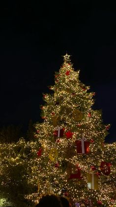 a large christmas tree is lit up at night