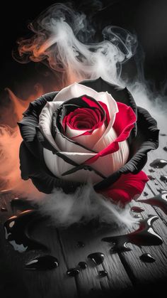 Follow for more ❤️ Red Roses Wallpaper Iphone, Dark Red Roses Aesthetic, Dark Abstract Wallpaper, Fire And Ice Roses, Two Red Roses, Black Roses Wallpaper, Rose Flower Photos, Red Roses Wallpaper, Abstract Art Images