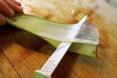 How to Harvest and Freeze Aloe Vera Gel Aloe Vera Uses, Aloe Vera Acne, Aloe Vera Moisturizer, Fresh Aloe Vera Gel, Aloe Vera For Skin, Aloe Vera Skin Care, Fresh Aloe Vera, Aloe Vera For Hair