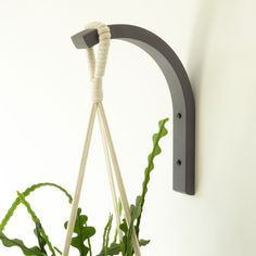 a potted plant hanging from a hook on the wall next to a white wall