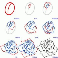 how to draw roses with different shapes and colors