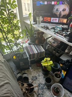 there are many potted plants on the floor in front of a television set and bookshelf