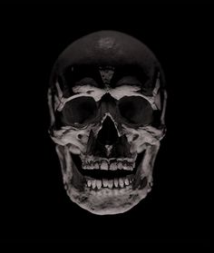 a black and white photo of a human skull