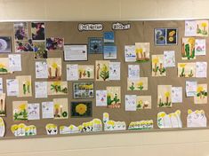 a bulletin board with pictures and flowers on it in a school hallway or classroom room