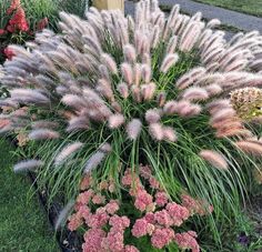 some very pretty flowers and plants in a flower pot on the side of the road