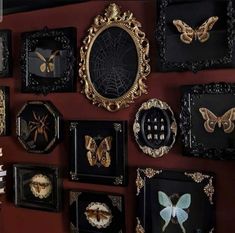 there are many framed pictures on the wall with gold and black butterflies in them,