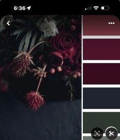 the color scheme is red, black and grey with some white flowers in front of it