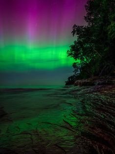 an aurora bore over the ocean with green and purple lights