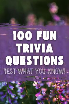 purple flowers with the words, 100 fun trivia questions test what you know