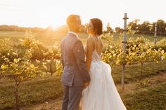 a bride and groom standing in front of the sun at their vineyard wedding venue, surrounded by vines