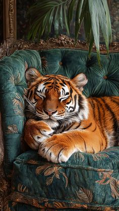 a tiger laying on top of a green couch