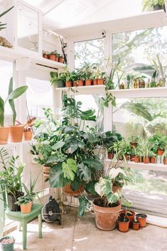 a room filled with lots of potted plants