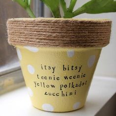 a potted plant sitting on top of a window sill