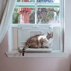 a cat sitting on top of a window sill in front of a pink wall