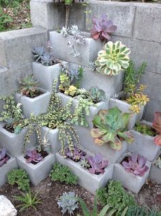 several cement planters are arranged in the shape of a pyramid with succulents and other plants