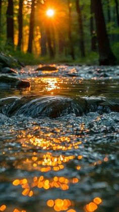 the sun shines brightly through the trees and water in this stream that runs through a wooded area