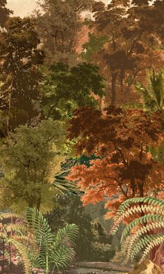 an image of a forest scene with trees and plants in the foreground, on a brown background