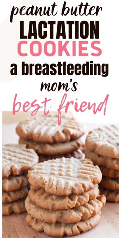 Peanut Butter Lactation Cookies - A Breastfeeding Mom's Best Friend! Increasing Milk Supply, Milk Dust, Dairy Free Breastfeeding