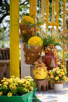 yellow flowers are hanging from the ceiling in front of potted plants and other decorations