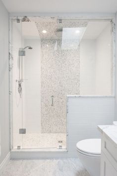 a bathroom with a walk in shower next to a white toilet and sink under a skylight