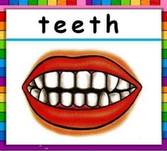 the word teeth is written in front of a colorful background