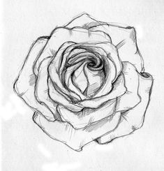 a black and white drawing of a rose