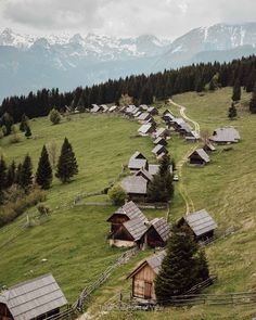 an alpine village in the mountains surrounded by pine trees