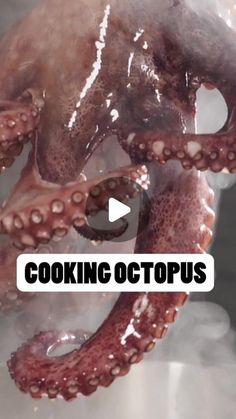 an octopus is shown with the words cooking octopus