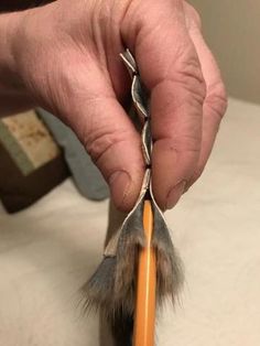 a person is holding a pair of scissors with some fur on it's end