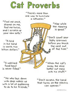 a cat sitting in a rocking chair with the caption's words written on it