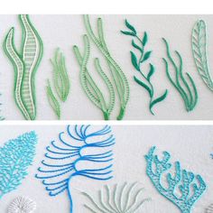 several different types of seaweed and corals on a white surface, one is blue and the other is green