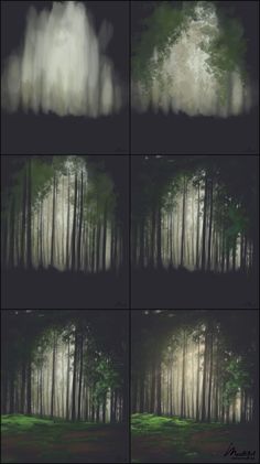 four different shots of trees in the woods with fog and light coming from behind them