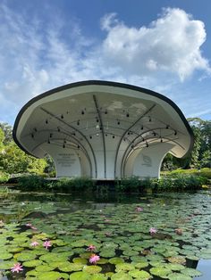 the pavilion is surrounded by lily pads and water lilies