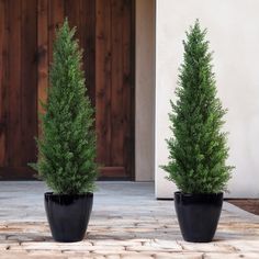 two potted trees sitting in front of a door