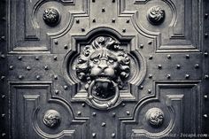 an ornate door with lion heads on it's front and side panels in black and white