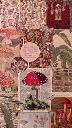 a collage of mushrooms, plants and pictures on paper with words written in them