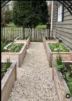 an outdoor garden with wooden raised beds and gravel path leading to the house, surrounded by greenery