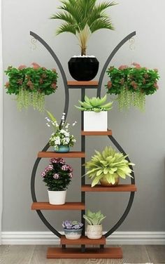 a shelf filled with potted plants on top of a wooden floor next to a gray wall