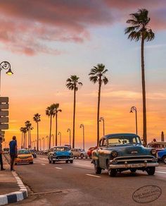 cars driving down the road with palm trees on either side and people walking in front