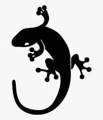 a gecko silhouetted on a white background