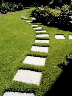 a garden with stepping stones in the grass