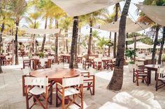 an outdoor dining area with tables, chairs and umbrellas in the shade under palm trees