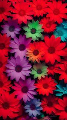 many different colored flowers are arranged together